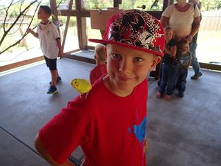 Idaho - WildAnimal (1)